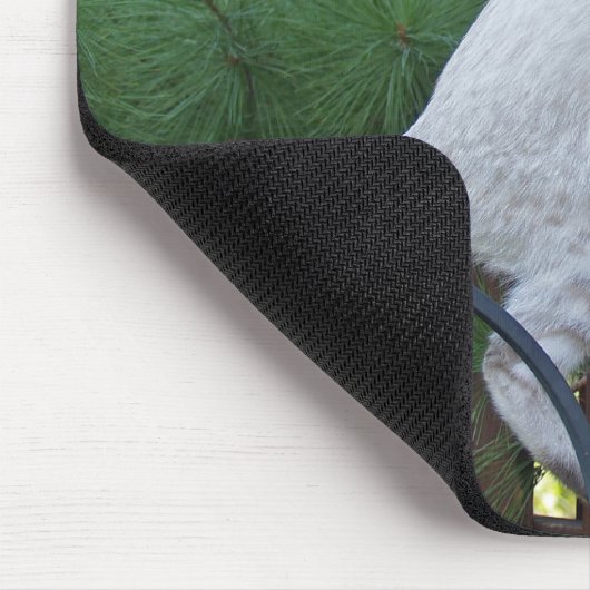 Savannah Cat Mousepad (Ecke)