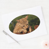 Savannah Cat Oval Sticker (Umschlag)