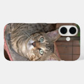 Savannah Cat Phone Case (Rückseite (Horizontal))