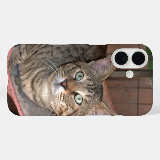 Savannah Cat Phone Case (Rückseite (Horizontal))