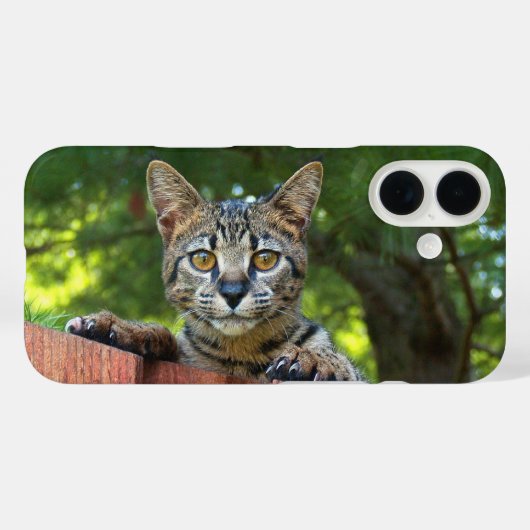 Savannah Cat Phone Case (Rückseite (Horizontal))