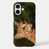 Savannah Cat Phone Case (Rückseite)