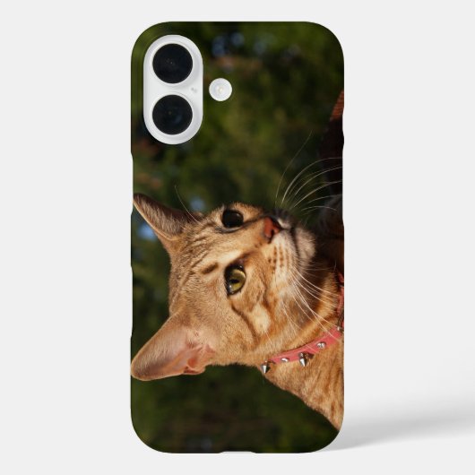 Savannah Cat Phone Case (Rückseite)