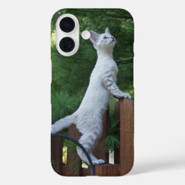 Savannah Cat Phone Case