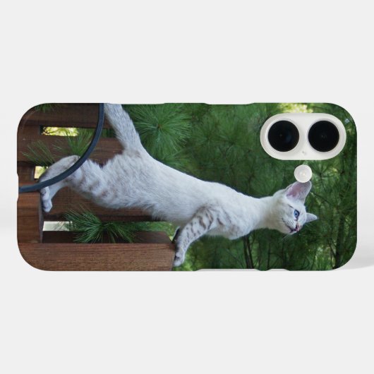 Savannah Cat Phone Case (Rückseite (Horizontal))