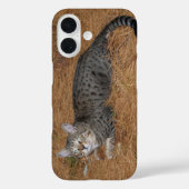 Savannah Cat Phone Case (Rückseite)