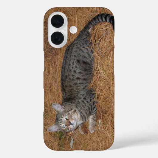 Savannah Cat Phone Case (Rückseite)