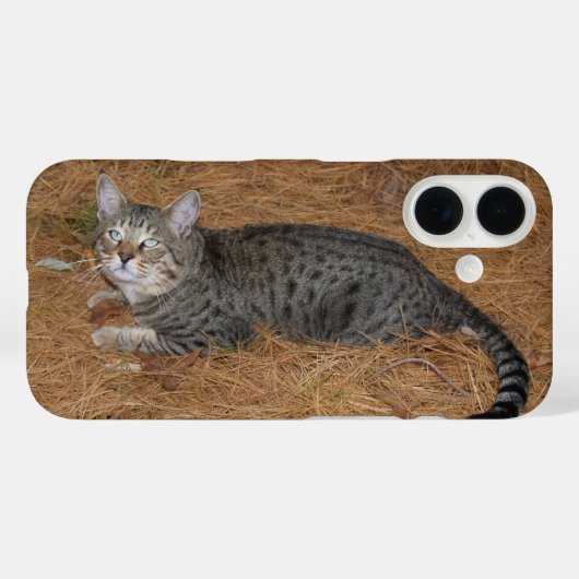 Savannah Cat Phone Case (Rückseite (Horizontal))