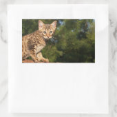 Savannah Cat Rectangle Sticker (Tasche)