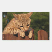 Savannah Cat Rectangle Sticker (Vorderseite)