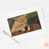 Savannah Cat Rectangle Sticker (Umschlag)