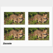 Savannah Cat Rectangle Sticker (Blatt)
