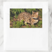 Savannah Cat Rectangle Sticker (Tasche)