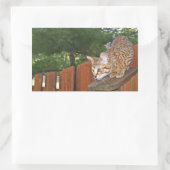 Savannah Cat Rectangle Sticker (Tasche)