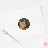 Savannah Cat Round Sticker (Umschlag)
