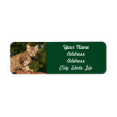 Savannah Cat Rücksendeadresse Sticker (Vorne)