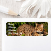 Savannah Cat Rücksendeadresse Sticker (Insitu)