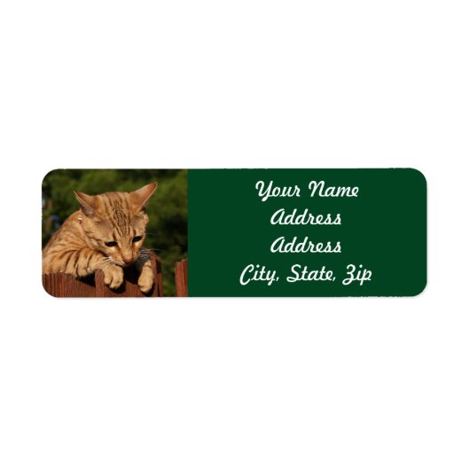 Savannah Cat Rücksendeadresse Sticker (Vorne)