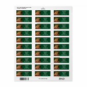 Savannah Cat Rücksendeadresse Sticker (Vorne)