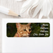 Savannah Cat Rücksendeadresse Sticker (Insitu)