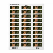 Savannah Cat Rücksendeadresse Sticker (Vorne)