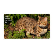 Savannah Cat Shipping Label (Vorne)