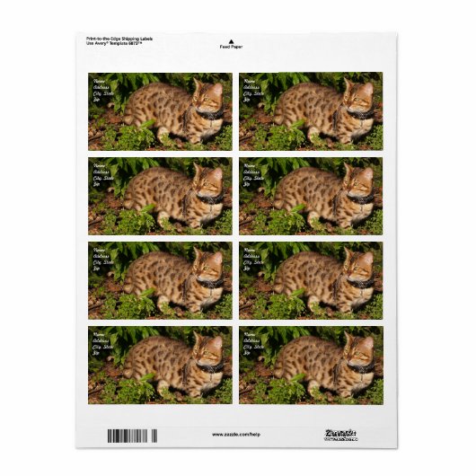 Savannah Cat Shipping Label (Vorne)