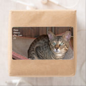 Savannah Cat Shipping Label (Insitu)
