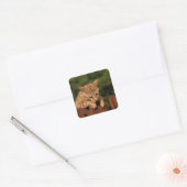 Savannah Cat Square Sticker (Umschlag)