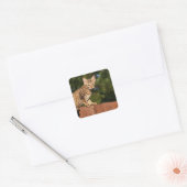 Savannah Cat Square Sticker (Umschlag)