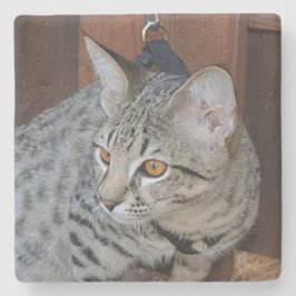 Savannah Cat Square Untersetzer