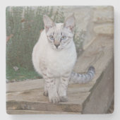Savannah Cat Square Untersetzer (Vorderseite)