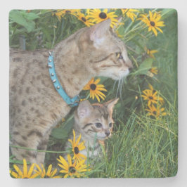 Savannah Cat Square Untersetzer