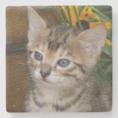 Savannah Cat Square Untersetzer (Vorderseite)