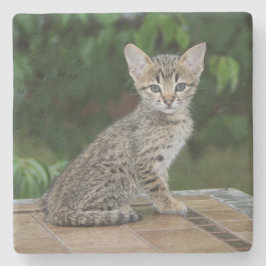 Savannah Cat Square Untersetzer