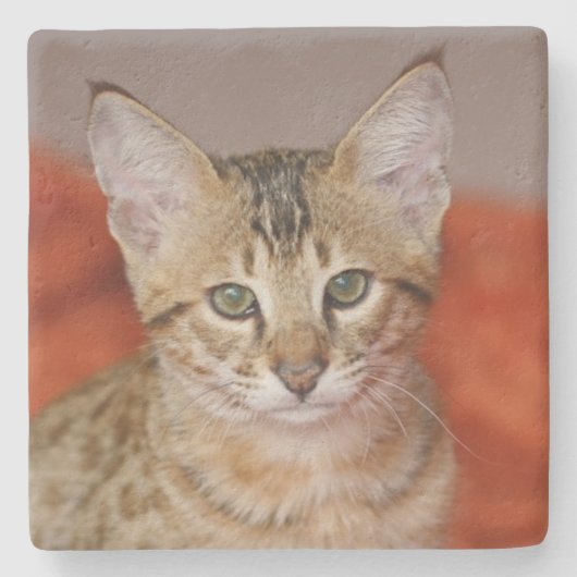Savannah Cat Square Untersetzer (Vorderseite)