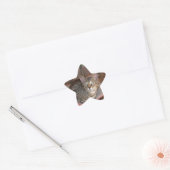 Savannah Cat Star Sticker (Umschlag)