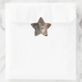 Savannah Cat Star Sticker (Tasche)
