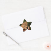 Savannah Cat Star Sticker (Umschlag)