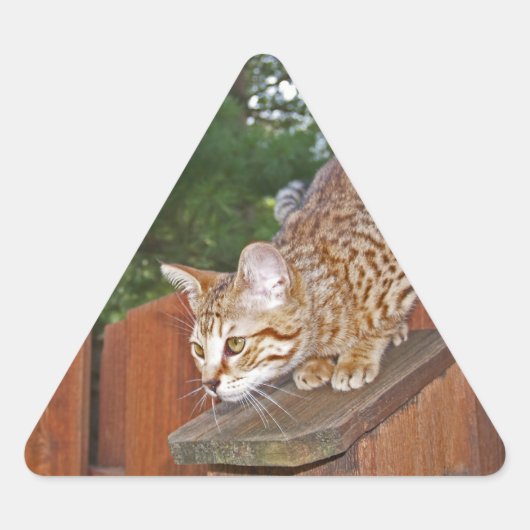 Savannah Cat Triangle Sticker (Vorderseite)