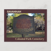 Savannah Colonial Park Gelbes Fieber Marker Postkarte (Vorderseite)