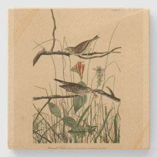 Savannah Finch (Sparrow) Audubon Birds of America Steinuntersetzer