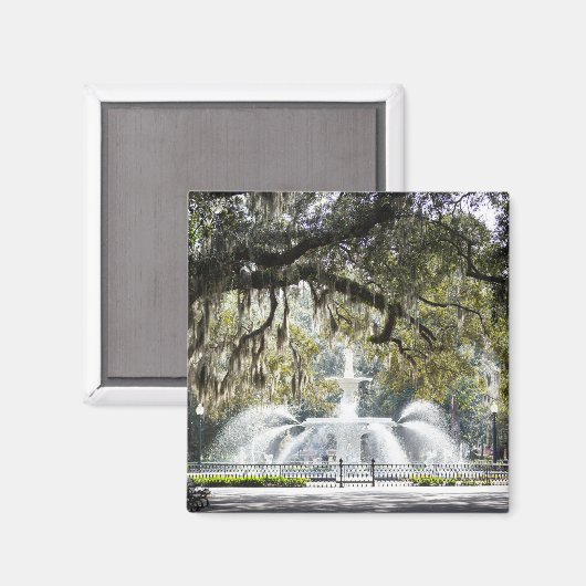 Savannah Forsyth Fountain Magnet (Vorderseite/Rückseite)