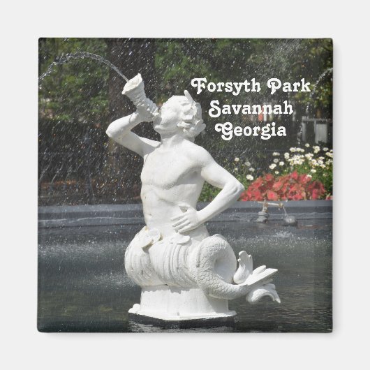 Savannah GA Forsyth Park Fountain Magnet (Vorne)
