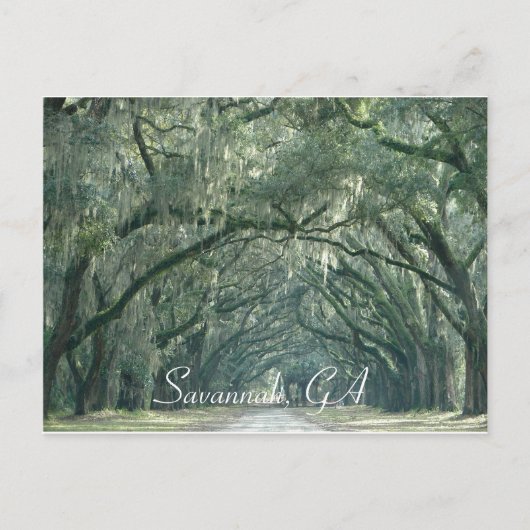 Savannah, GA Postcard Postkarte (Vorderseite)