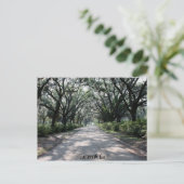 Savannah, Ga Postcard Postkarte (Stehend Vorderseite)