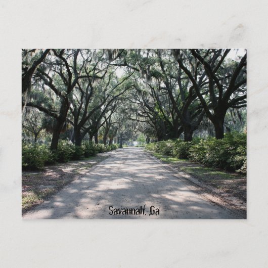 Savannah, Ga Postcard Postkarte (Vorderseite)