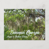 Savannah GA Spanish Moss trockenes Live Oaks Foto Postkarte (Vorderseite)
