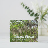 Savannah GA Spanish Moss trockenes Live Oaks Foto Postkarte (Stehend Vorderseite)