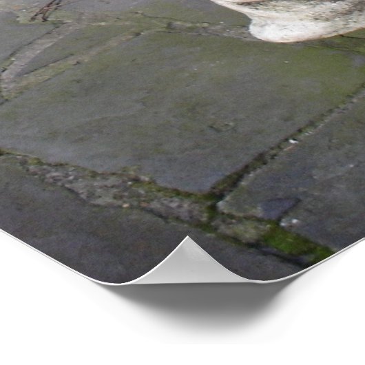 Savannah Gargoyle Gerahmt Print Poster (Ecke)